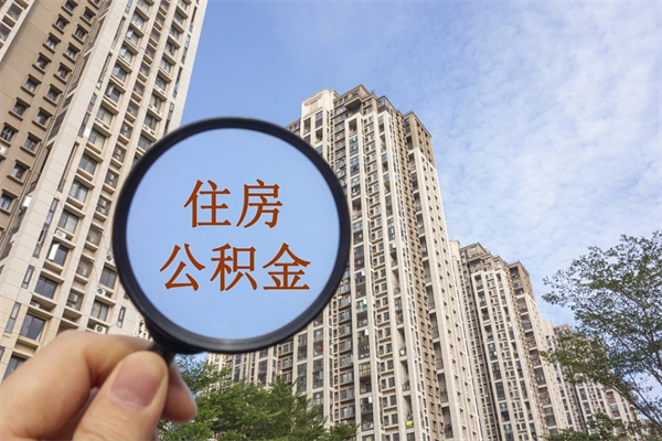 贵州离职后公司不给转公积金怎么办（离职后公司不给转社保怎么办）